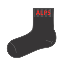 Alexandra Primary Socks