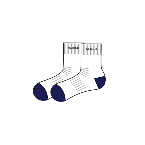 ACS (BR) Socks (1 pair)