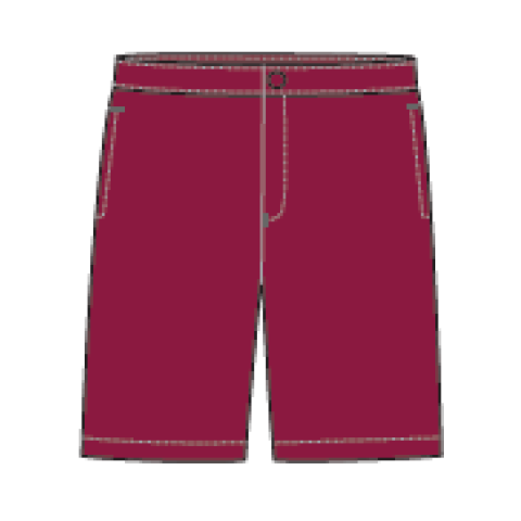 ISS Primary Boys Bermudas