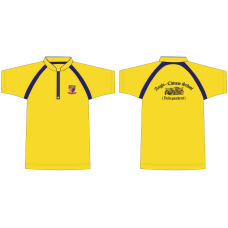 ACS (Independent)